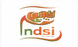 NDSI logo